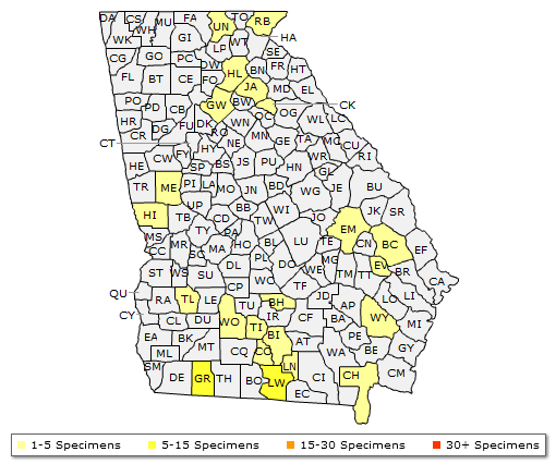 The Georgia range of Toxicodendron vernix